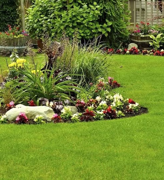 Donkaz Landscaping